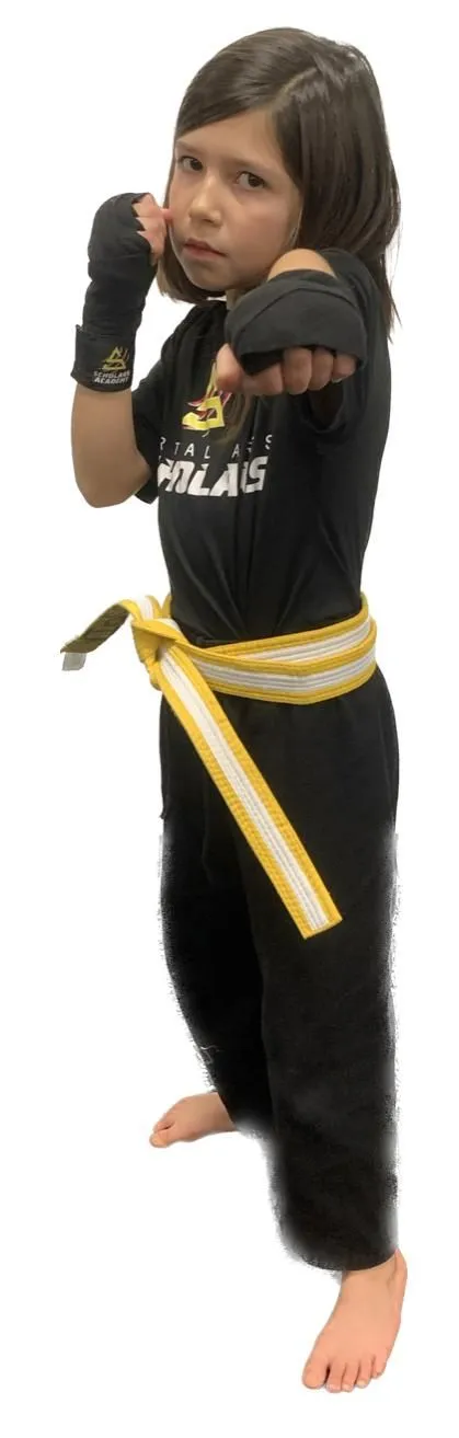 youth sports programs